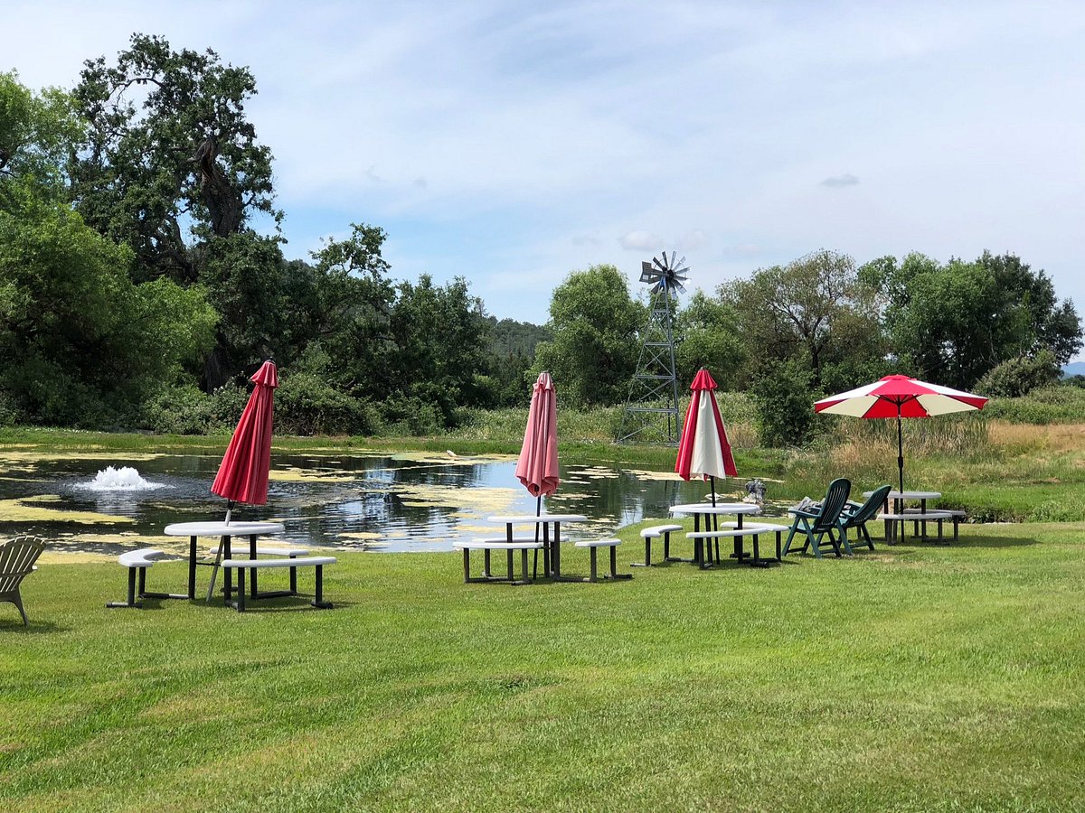 The Bethlehem Vineyard